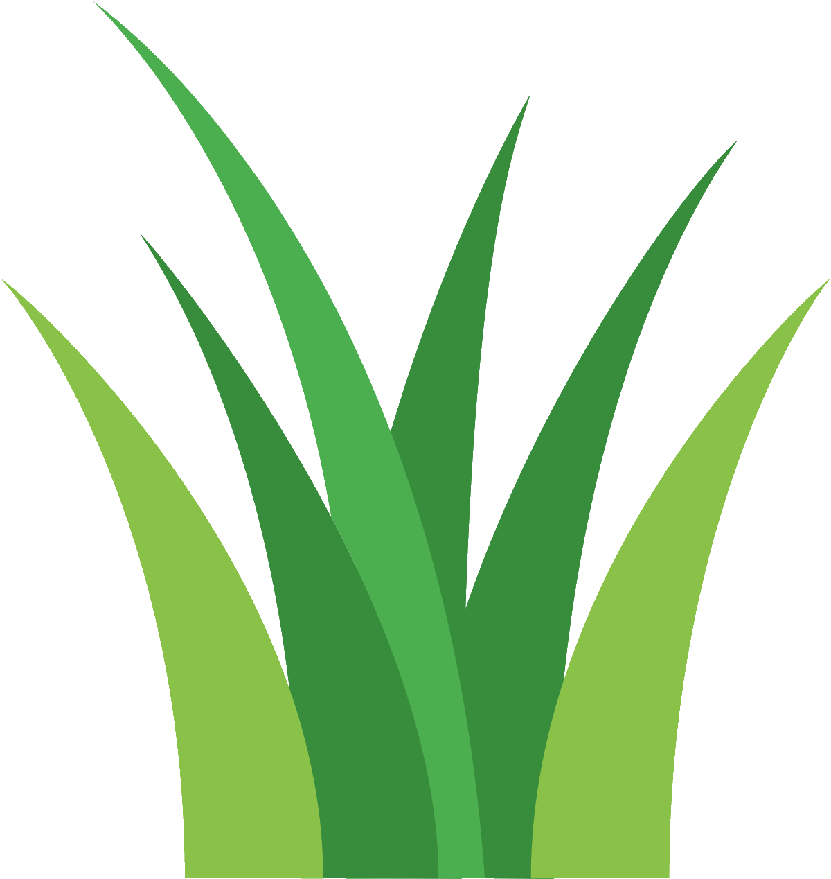 Better Lawns Logo - simple placeholder image of a few blades of grass